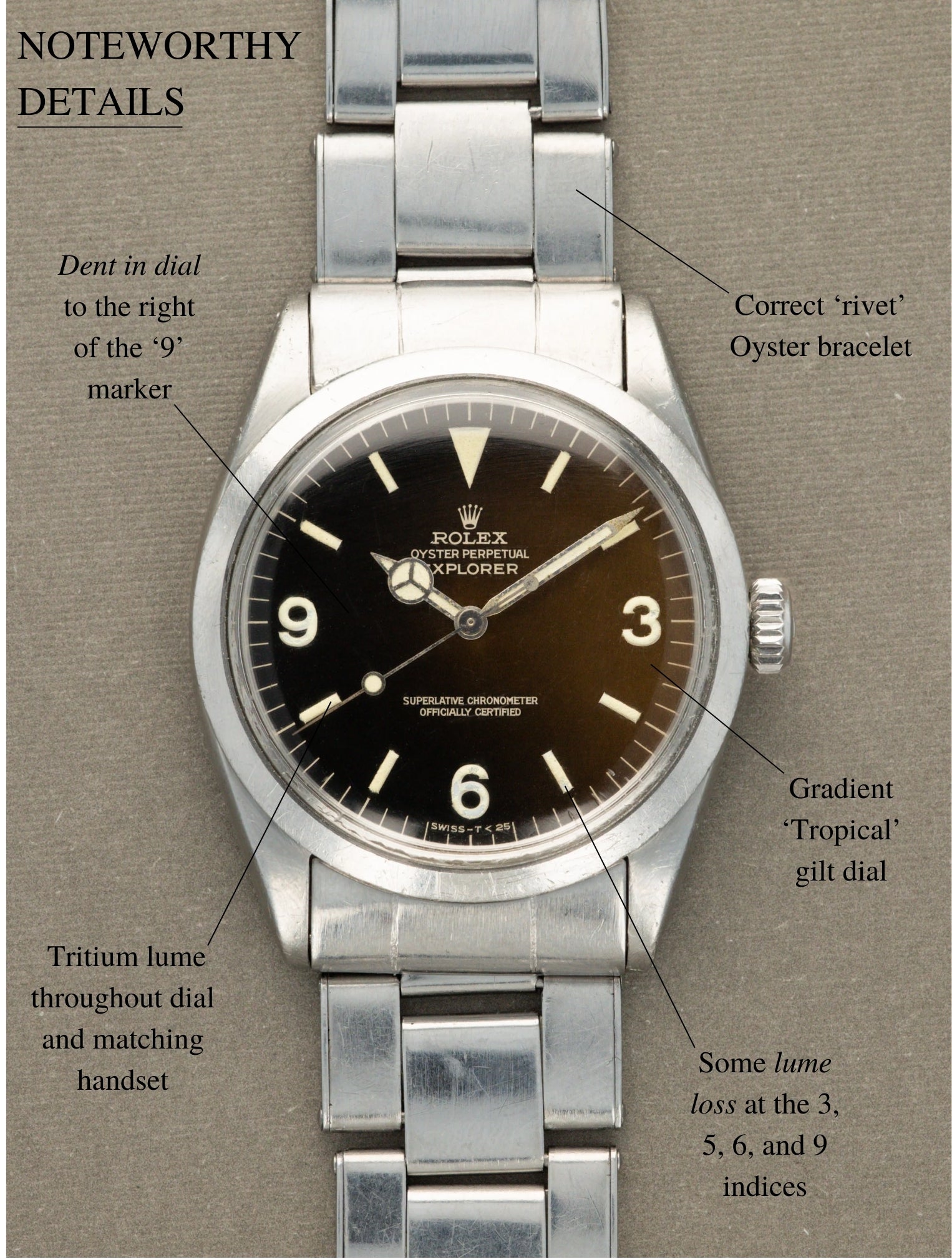 Rolex Explorer I Ref. 1016 - 'Tropical' Gilt Dial