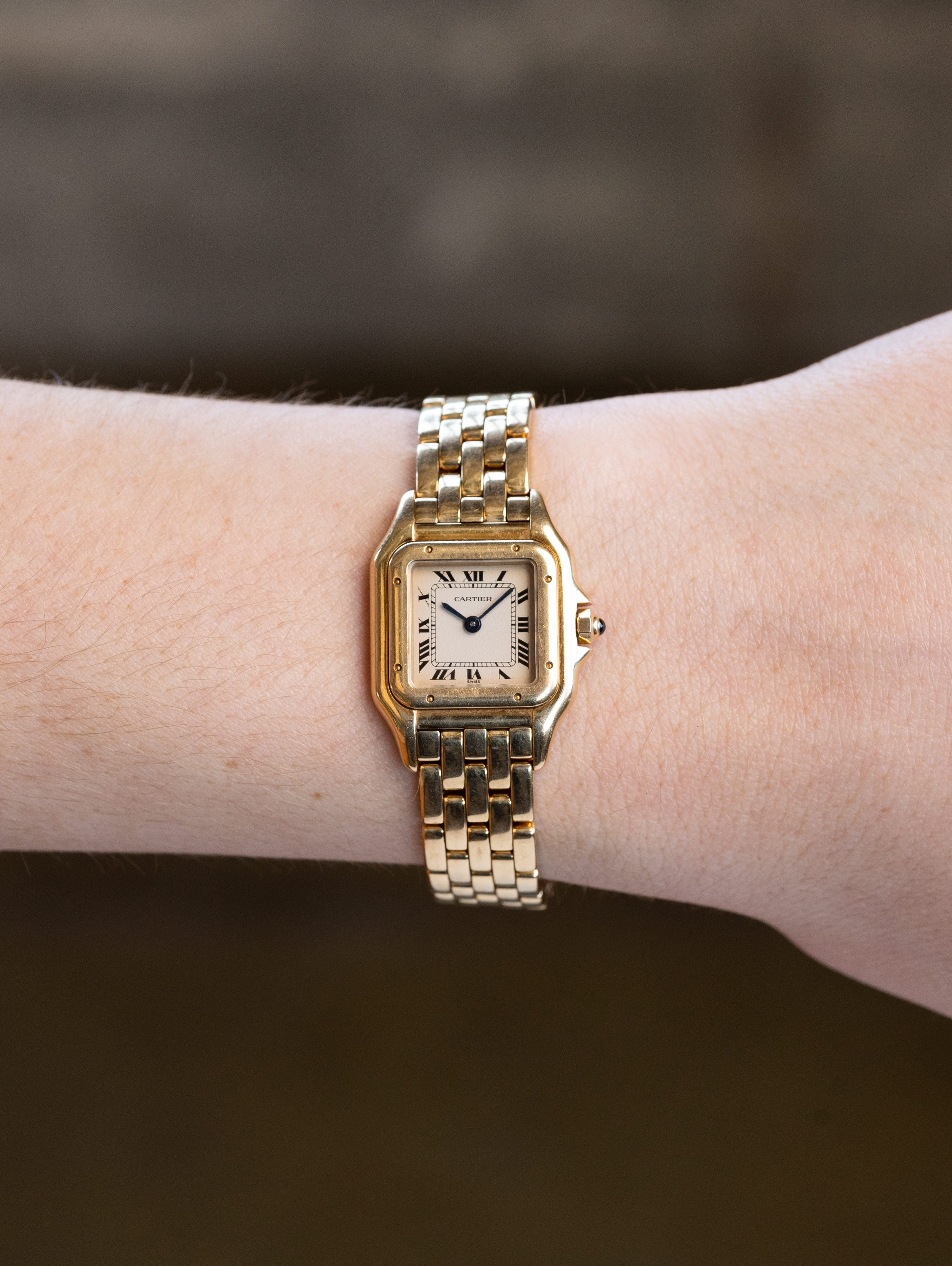 Cartier Panthère Ref. 866911 - 'Small' Size