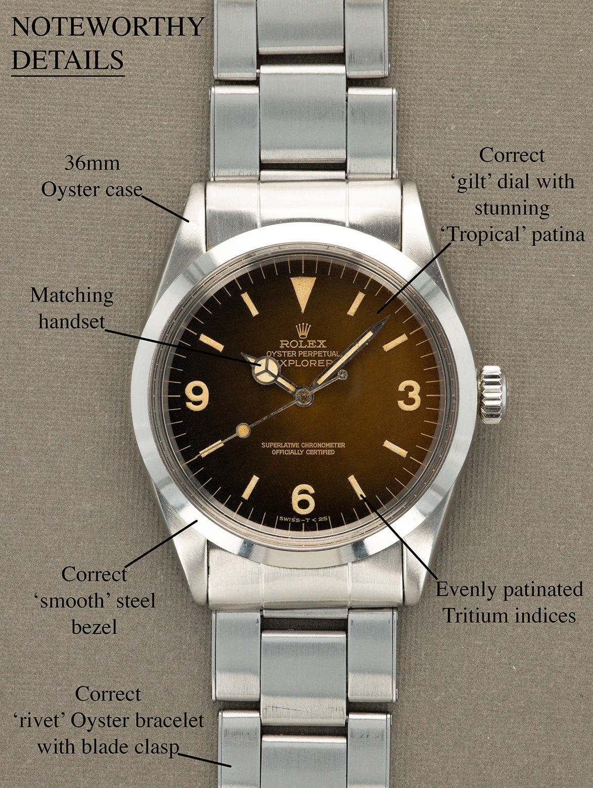 Rolex Explorer I Ref. 1016 - 'Tropical' Gilt Dial